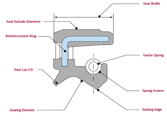 Oil Seal - Technical